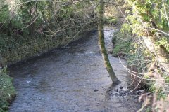sheppey39-Looking-Downstream-from-Bowlish-Bridge-West