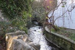 sheppey4-Upstream-to-Sales-House-Culvert