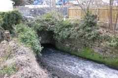 sheppey42-Ham-Mill-Culvert-Inlet-Bowlish