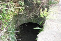 sheppey44-Ham-Mill-Culvert-Outlet-Bowlish
