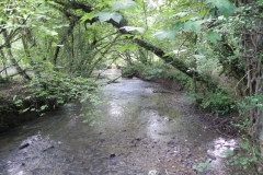 D. Egford Brook to Great Elm
