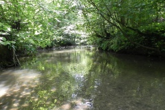 33.-Upstream-from-Egford-Brook