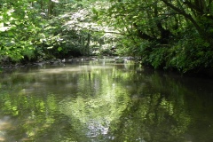 34.-Upstream-from-Egford-Brook