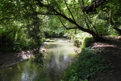39.-Looking-downstream-from-ROW-Bridge-4020