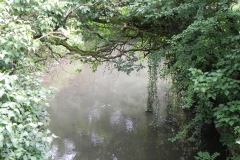 48.-Looking-upstream-from-Valley-House-footbridge