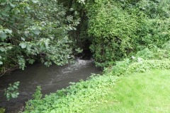 57.-weirs-and-races-bedlam-woollen-mill