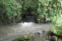 58.-weirs-and-races-bedlam-woollen-mill