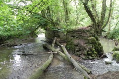 62.-weirs-and-races-bedlam-woollen-mill