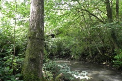 63.-Upstream-from-Bedlam