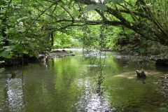 64.-Upstream-from-Bedlam