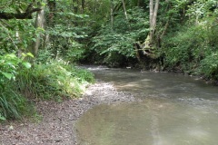 65.-Upstream-from-Bedlam