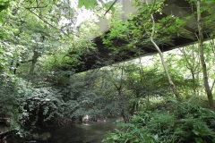 68.Bedlam-Mineral-Rail-Bridge
