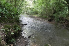 70.Upstream-from-Bedlam-Mineral-Rail-Bridge
