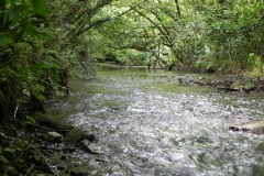 71.Upstream-from-Bedlam-Mineral-Rail-Bridge
