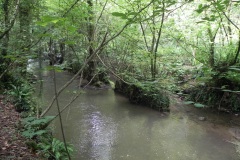72.-Downstream-from-Great-Elm