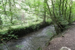 73.-Downstream-from-Great-Elm