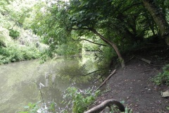 78.-Reflections-near-Bridge-House-sluice