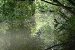 79.-Reflections-near-Bridge-House-sluice