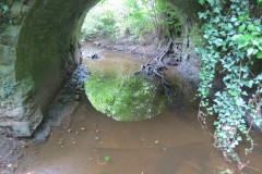 10.-Frog-Street-accommodation-bridge-south-upstream-arch