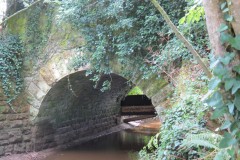 17.-Frog-Street-Rail-Bridge-upstream-arch