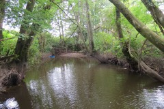 18.-Upstream-from-Frog-Street-Rail-Bridge