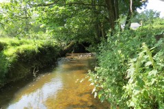 2.-Upstream-from-Elm-Bridge-3