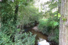 2.-Upstream-from-Elm-Bridge-4