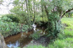 2.-Upstream-from-Elm-Bridge-5