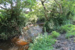 2.-Upstream-from-Elm-Bridge-6