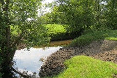 2.-Upstream-from-Elm-Bridge-8