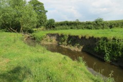 2.-Upstream-from-Elm-Bridge-9