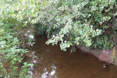 21.-Upstream-from-Frog-Street-accommodation-bridge-south