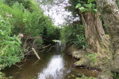 22.-Upstream-from-Frog-Street-accommodation-bridge-south-1