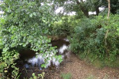 22.-Upstream-from-Frog-Street-accommodation-bridge-south-2