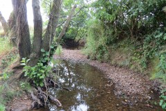 22.-Upstream-from-Frog-Street-accommodation-bridge-south-3