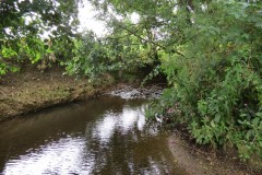 22.-Upstream-from-Frog-Street-accommodation-bridge-south-4