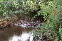 22.-Upstream-from-Frog-Street-accommodation-bridge-south-5