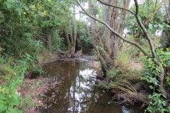 23.-Upstream-from-Frog-Street-accommodation-bridge-south