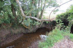 24.-Upstream-from-Frog-Street-accommodation-bridge-south