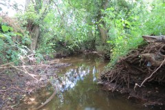 29.-Upstream-from-Frog-Street-1