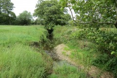 29.-Upstream-from-Frog-Street-2