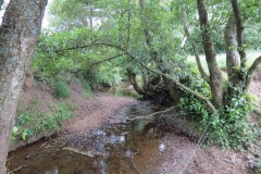 29.-Upstream-from-Frog-Street-3