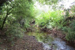 29.-Upstream-from-Frog-Street-4
