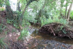 29.-Upstream-from-Frog-Street-5