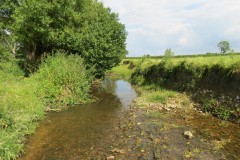 3.-Upstream-from-Elm-Bridge-2