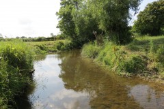 3.-Upstream-from-Elm-Bridge-3