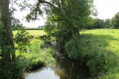 3.-Upstream-from-Elm-Bridge-5