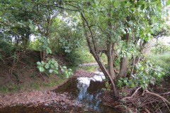 30.-Upstream-from-Frog-Street-1