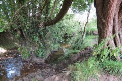 30.-Upstream-from-Frog-Street-2