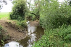 4.-Looking-downstream-from-Frog-Street-accommodation-bridge-south